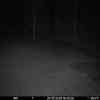 20251220 174733