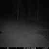 20251116 174538