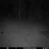 20251013 024403