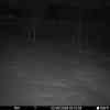 20260302 015424