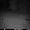 20250901 024239