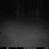 20251118 014541