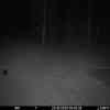 20251023 024430