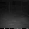 20260307 015441