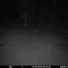 20251027 014440