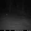 20260308 220928