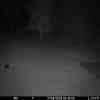 20250917 024303