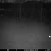 20260419 025641