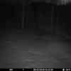 20260308 015444