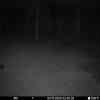 20251104 014501