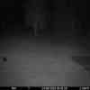 20250924 024317