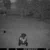20250724 232404