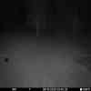 20251006 024348
