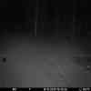 20251016 184411