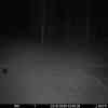 20251022 024428