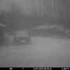 20251123 071631