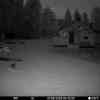 20260531 235841
